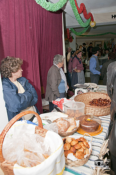 2010-v-feira-mel-castanha-coentral-16