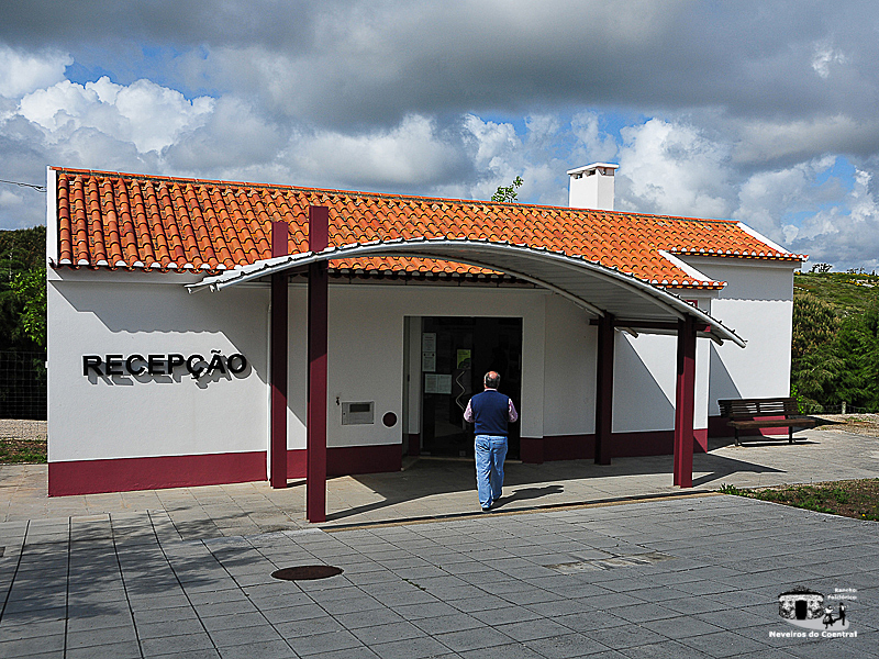 2012-rfnc-fabrica-gelo-01