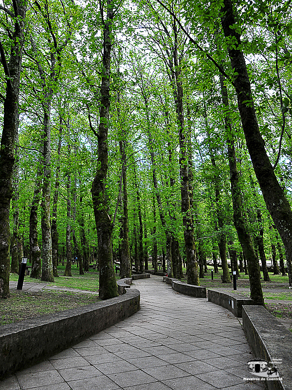 2012-rfnc-fabrica-gelo-30